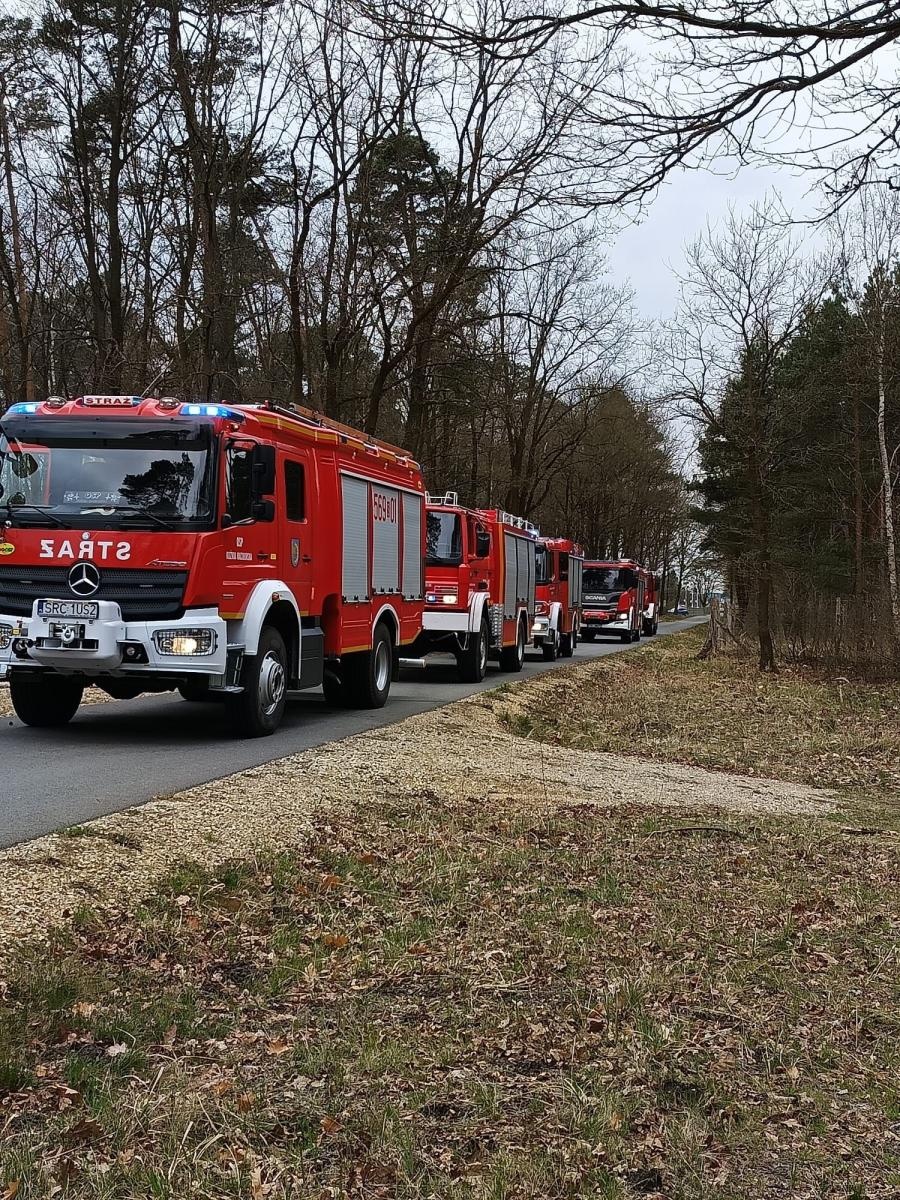 Zdjęcie w galerii na portalu naszraciborz.pl: Dwa pożary młodnika jednego dnia. W Kuźni Raciborskiej grasuje podpalacz? [FOTO] wiadomości z regionu