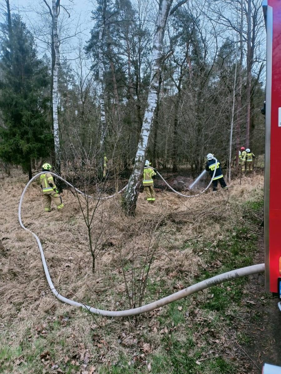 Zdjęcie w galerii na portalu naszraciborz.pl: Podpalacz znów dał o sobie znać. Kolejne pożary w gminie Kuźnia Raciborska [FOTO] wiadomości z regionu