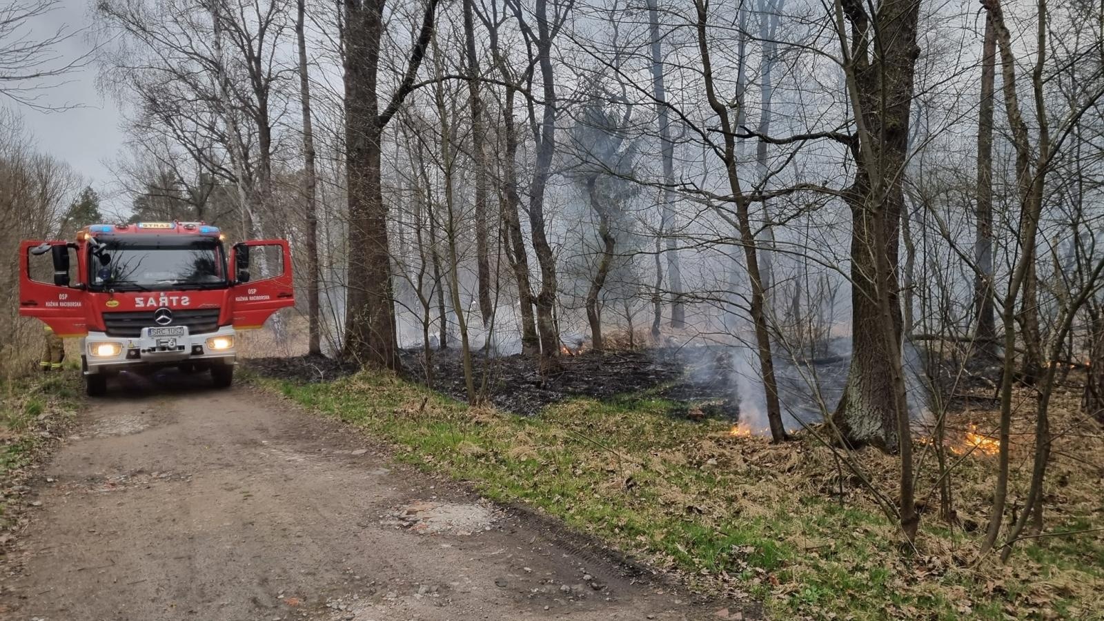 Zdjęcie w galerii na portalu naszraciborz.pl: Podpalacz znów dał o sobie znać. Kolejne pożary w gminie Kuźnia Raciborska [FOTO] wiadomości z regionu