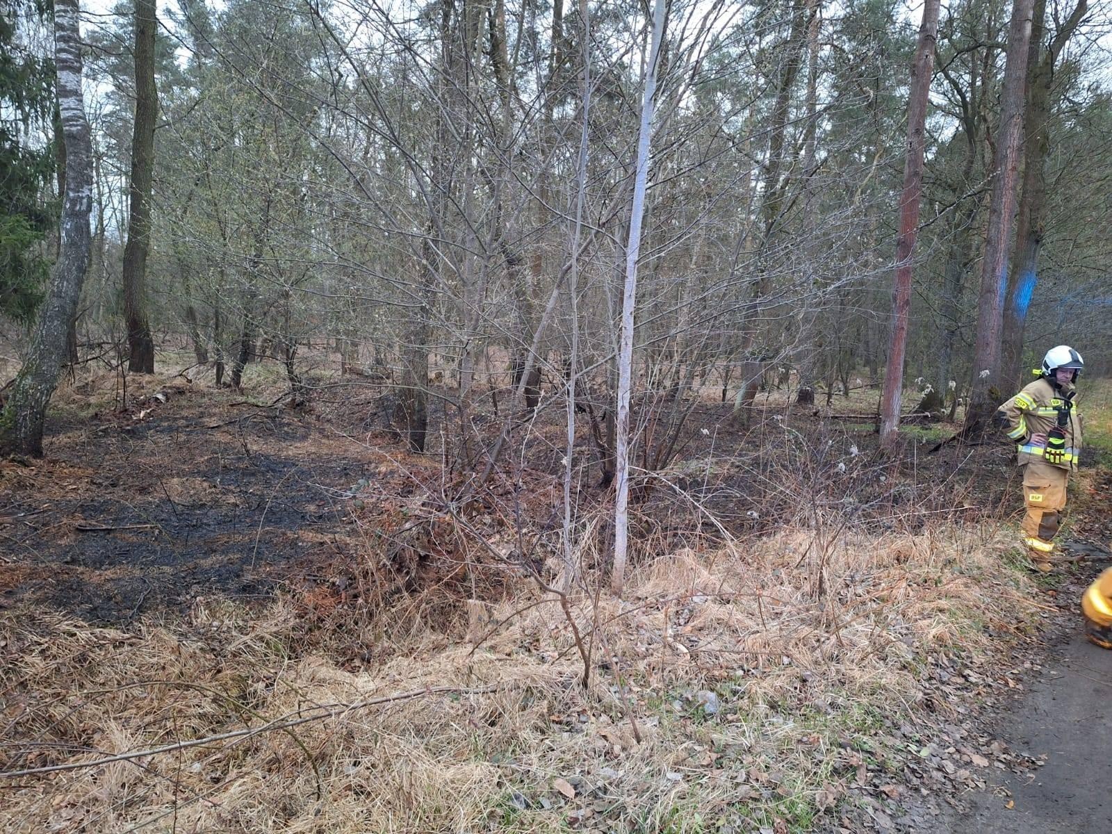 Zdjęcie w galerii na portalu naszraciborz.pl: Podpalacz znów dał o sobie znać. Kolejne pożary w gminie Kuźnia Raciborska [FOTO] wiadomości z regionu