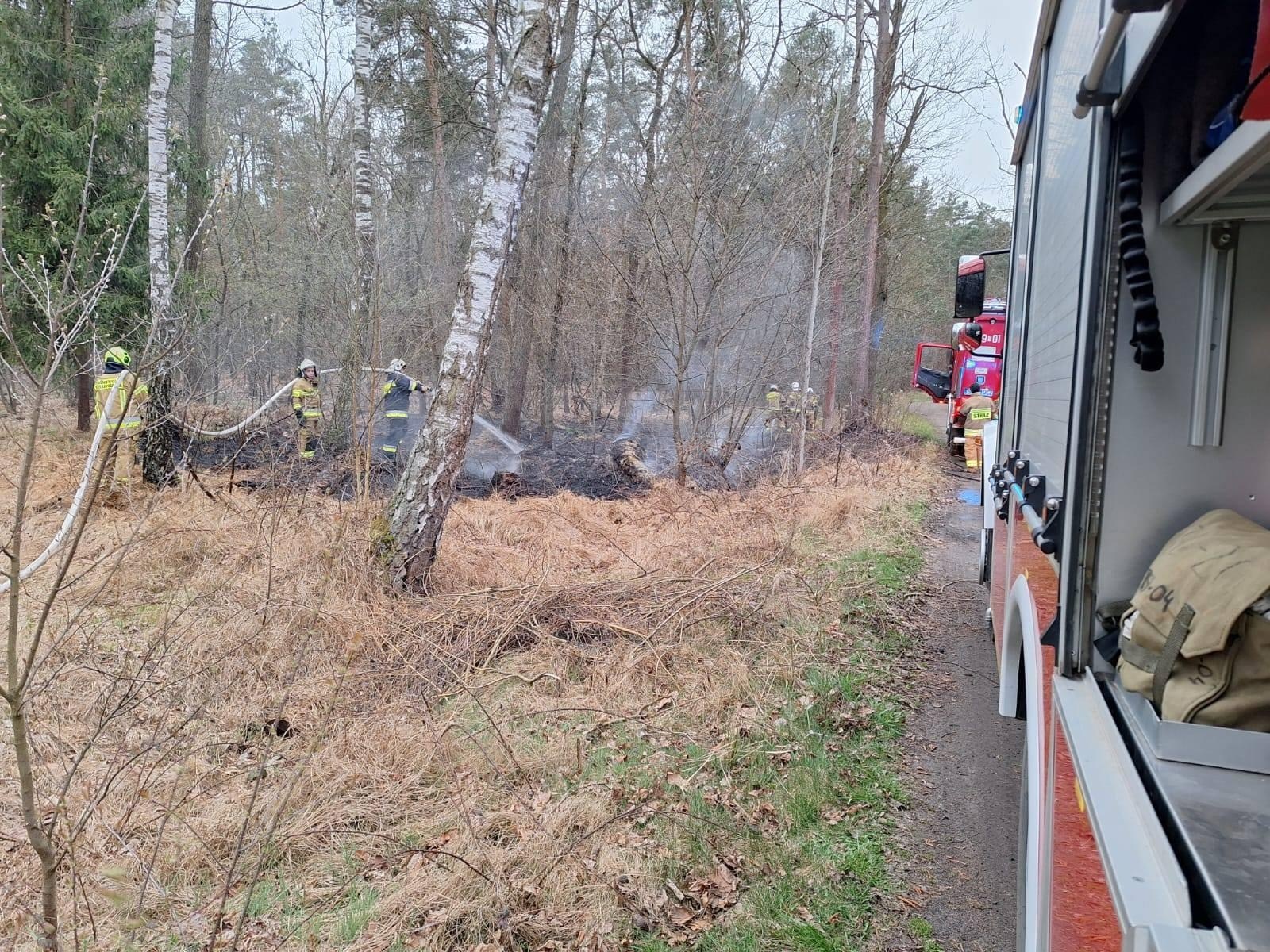 Zdjęcie w galerii na portalu naszraciborz.pl: Podpalacz znów dał o sobie znać. Kolejne pożary w gminie Kuźnia Raciborska [FOTO] wiadomości z regionu