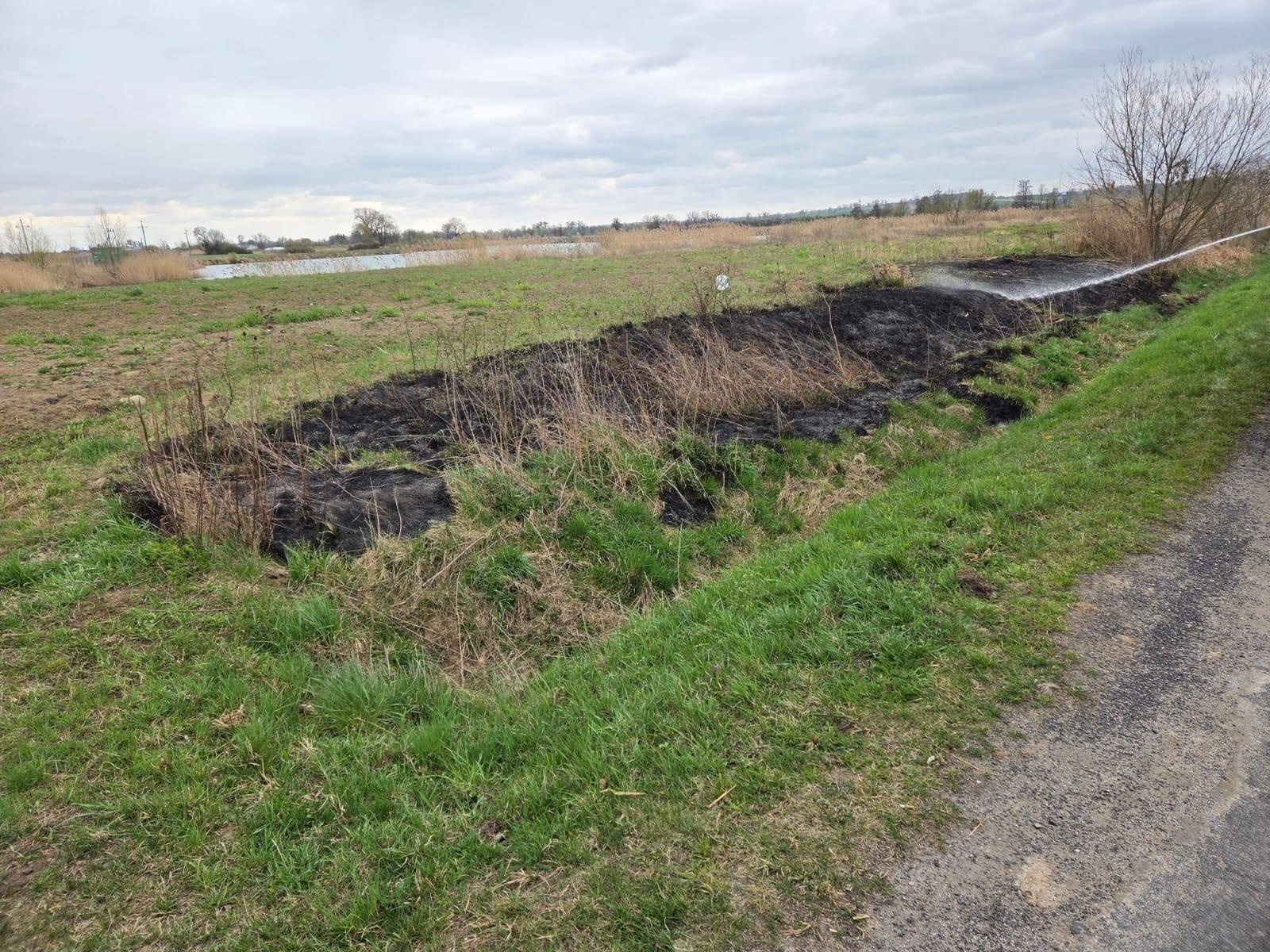 Zdjęcie w galerii na portalu naszraciborz.pl: Podpalacz znów dał o sobie znać. Kolejne pożary w gminie Kuźnia Raciborska [FOTO] wiadomości z regionu