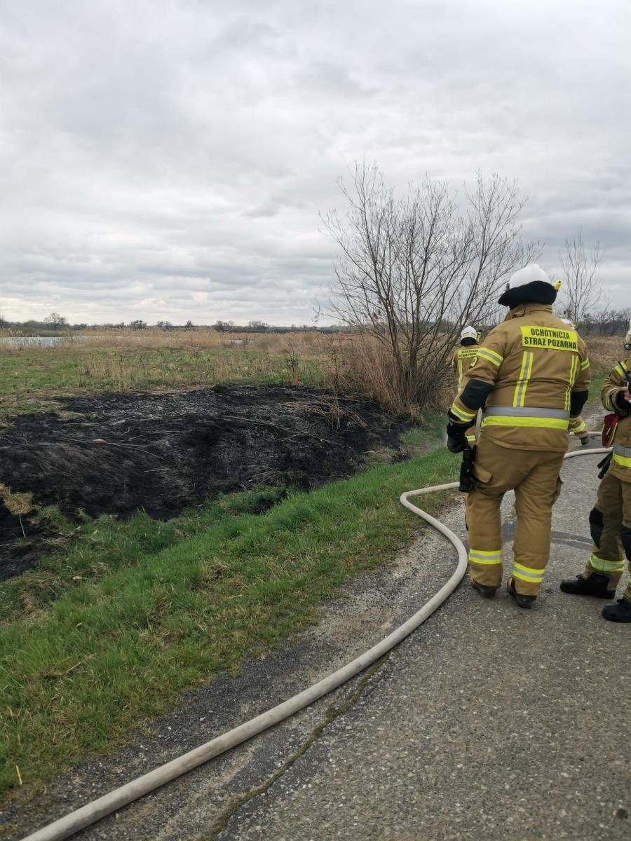Zdjęcie w galerii na portalu naszraciborz.pl: Podpalacz znów dał o sobie znać. Kolejne pożary w gminie Kuźnia Raciborska [FOTO] wiadomości z regionu