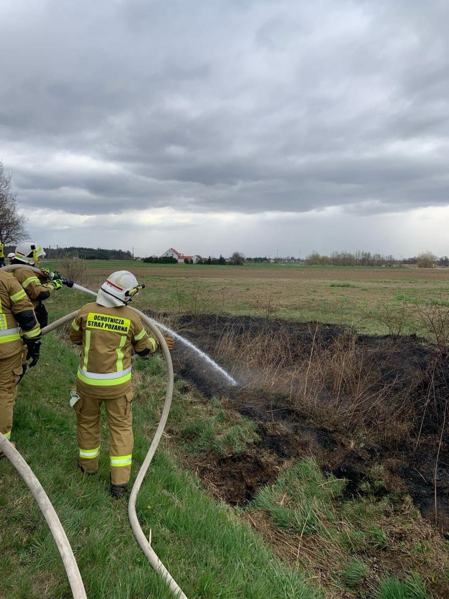 Zdjęcie w galerii na portalu naszraciborz.pl: Podpalacz znów dał o sobie znać. Kolejne pożary w gminie Kuźnia Raciborska [FOTO] wiadomości z regionu