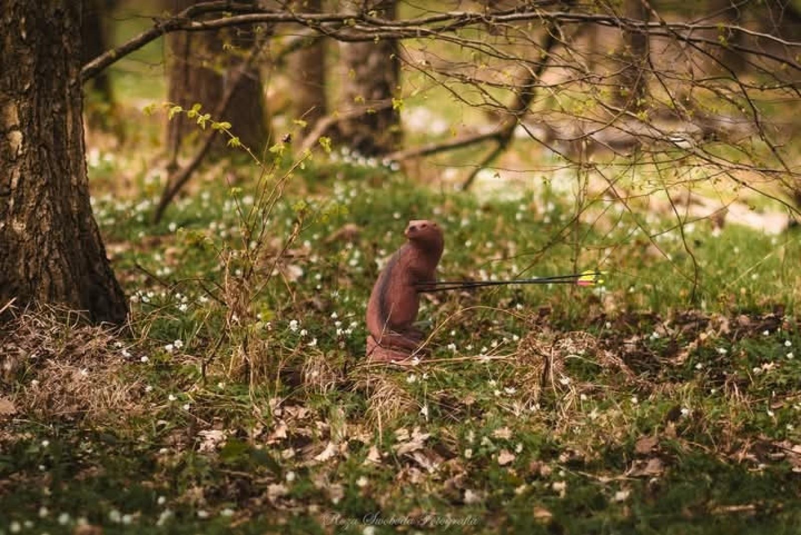 Zdjęcie w galerii na portalu naszraciborz.pl: Relacja z zawodów łuczniczych Raciborskie 7 i pół D – strzała tradycji w sercu lasów Obora wiadomości z regionu