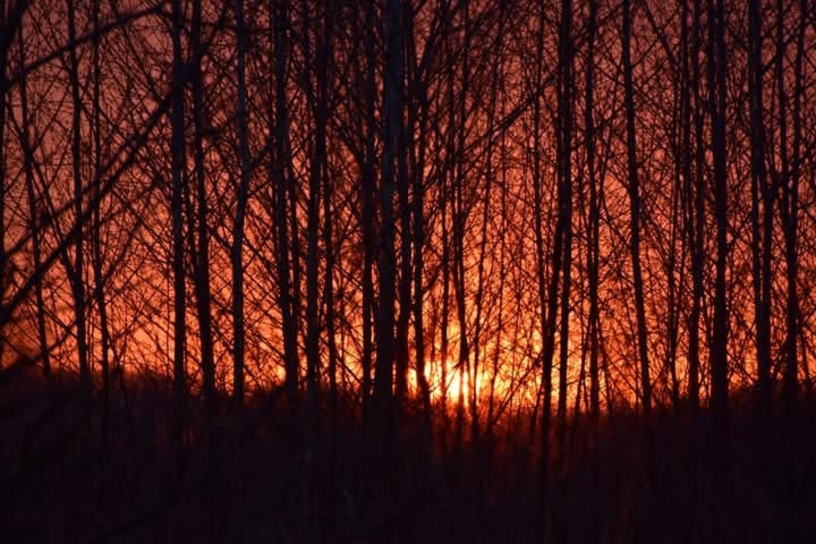 Zdjęcie w galerii na portalu naszraciborz.pl: Relacja z zawodów łuczniczych Raciborskie 7 i pół D – strzała tradycji w sercu lasów Obora wiadomości z regionu