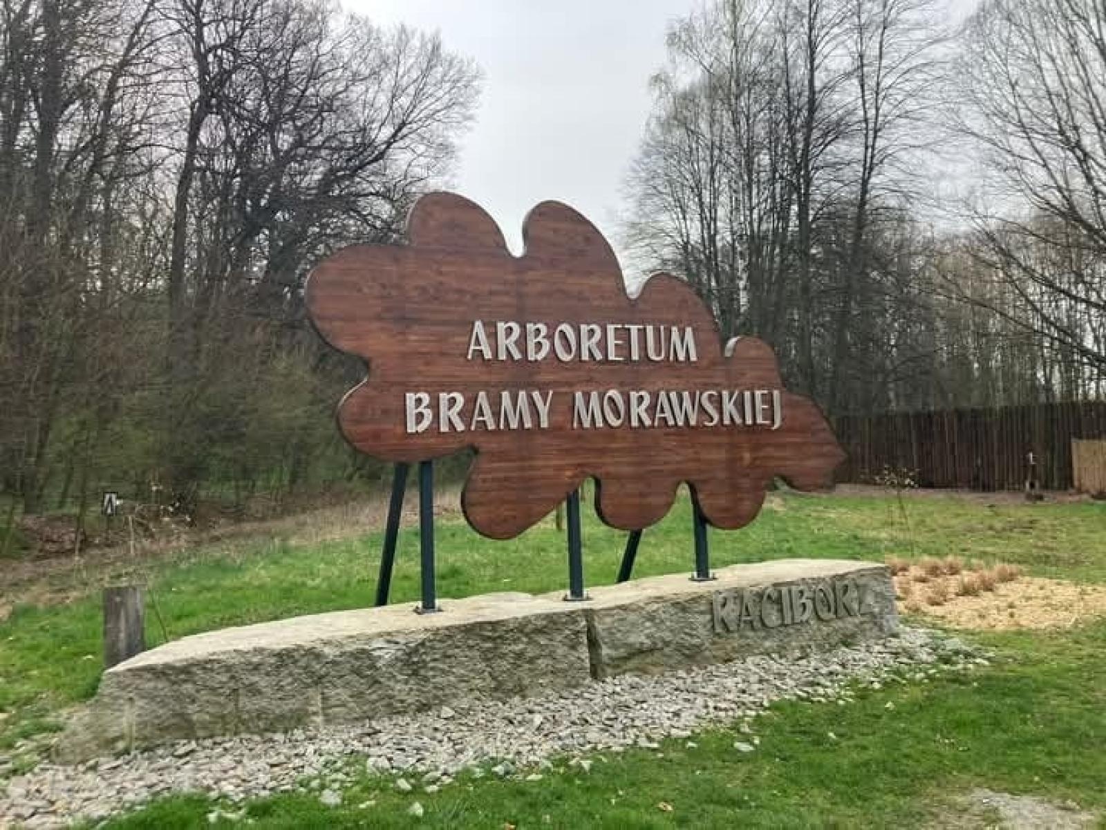 Zdjęcie w galerii na portalu naszraciborz.pl: Relacja z zawodów łuczniczych Raciborskie 7 i pół D – strzała tradycji w sercu lasów Obora wiadomości z regionu