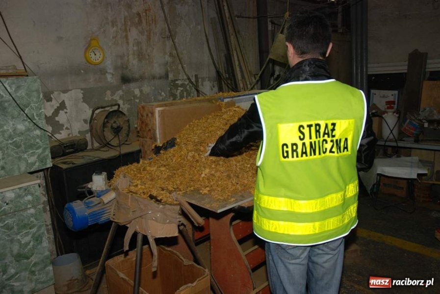 Zdjęcie w galerii na portalu naszraciborz.pl: Dwie tony tytoniu w garażu wiadomości z regionu
