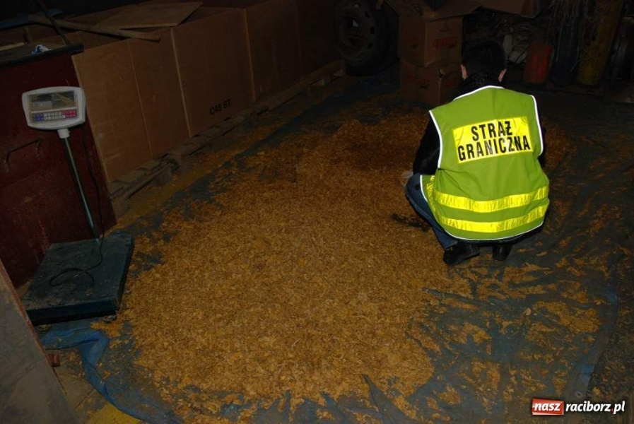 Zdjęcie w galerii na portalu naszraciborz.pl: Dwie tony tytoniu w garażu wiadomości z regionu
