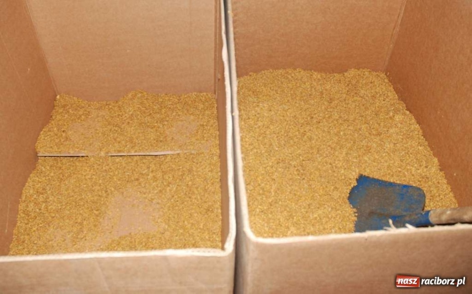 Zdjęcie w galerii na portalu naszraciborz.pl: Dwie tony tytoniu w garażu wiadomości z regionu
