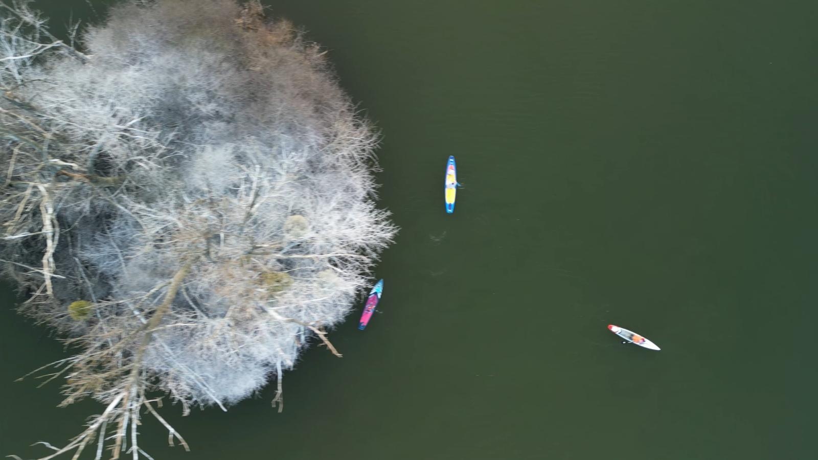 Zdjęcie w galerii na portalu naszraciborz.pl: Wiosenny spacer wodami Raciborskich Mazur wiadomości z regionu
