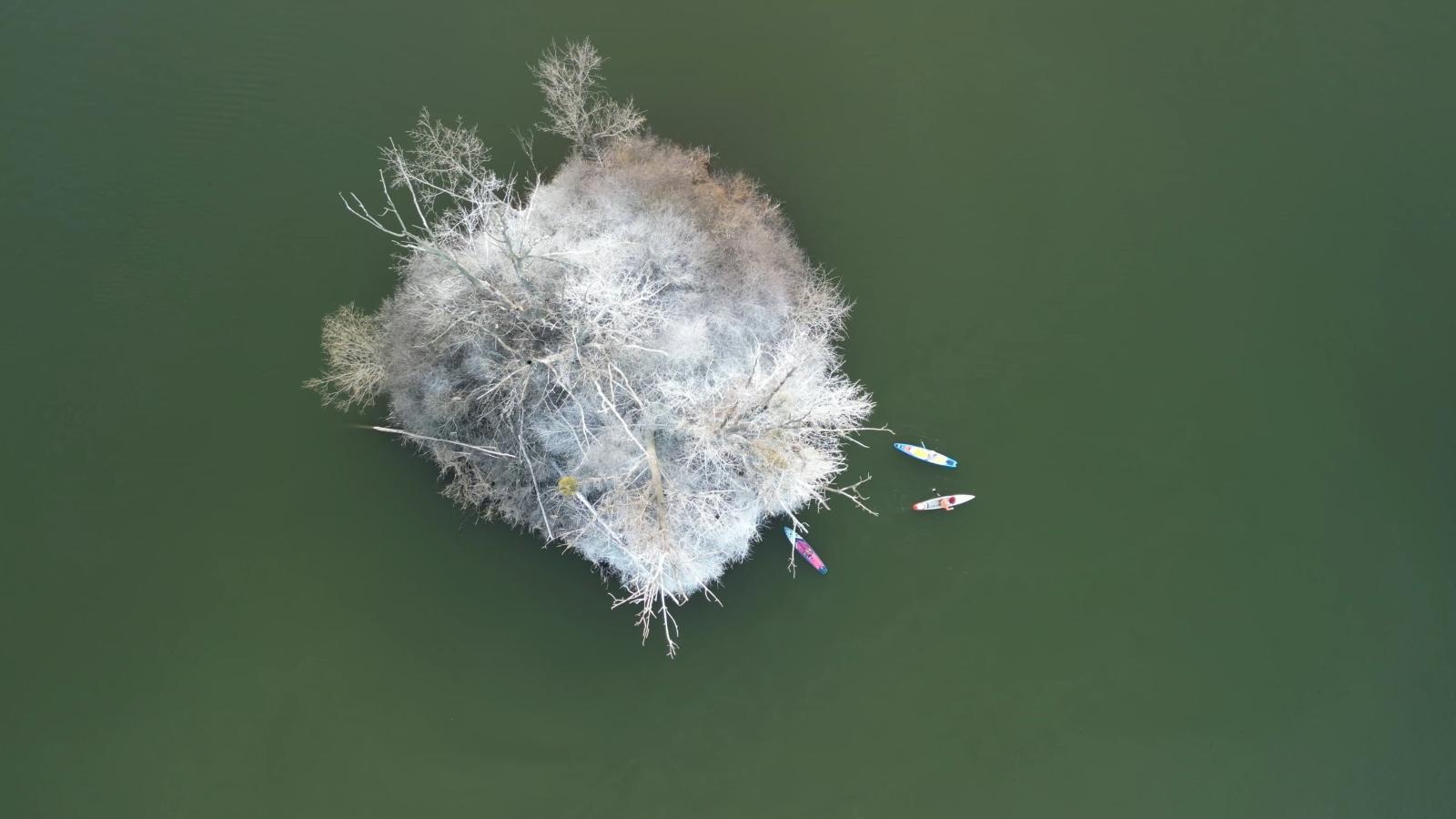 Zdjęcie w galerii na portalu naszraciborz.pl: Wiosenny spacer wodami Raciborskich Mazur wiadomości z regionu