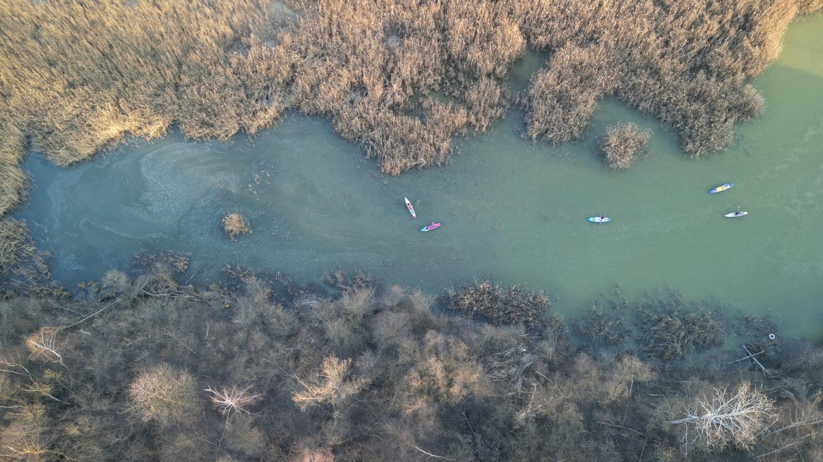 Zdjęcie w galerii na portalu naszraciborz.pl: Wiosenny spacer wodami Raciborskich Mazur wiadomości z regionu