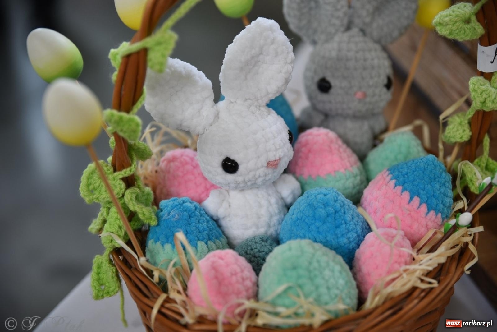 Zdjęcie w galerii na portalu naszraciborz.pl: Festiwal smaków i tradycji – potrawy regionalne wróciły do Pietrowic Wielkich [FOTO i WIDEO] wiadomości z regionu