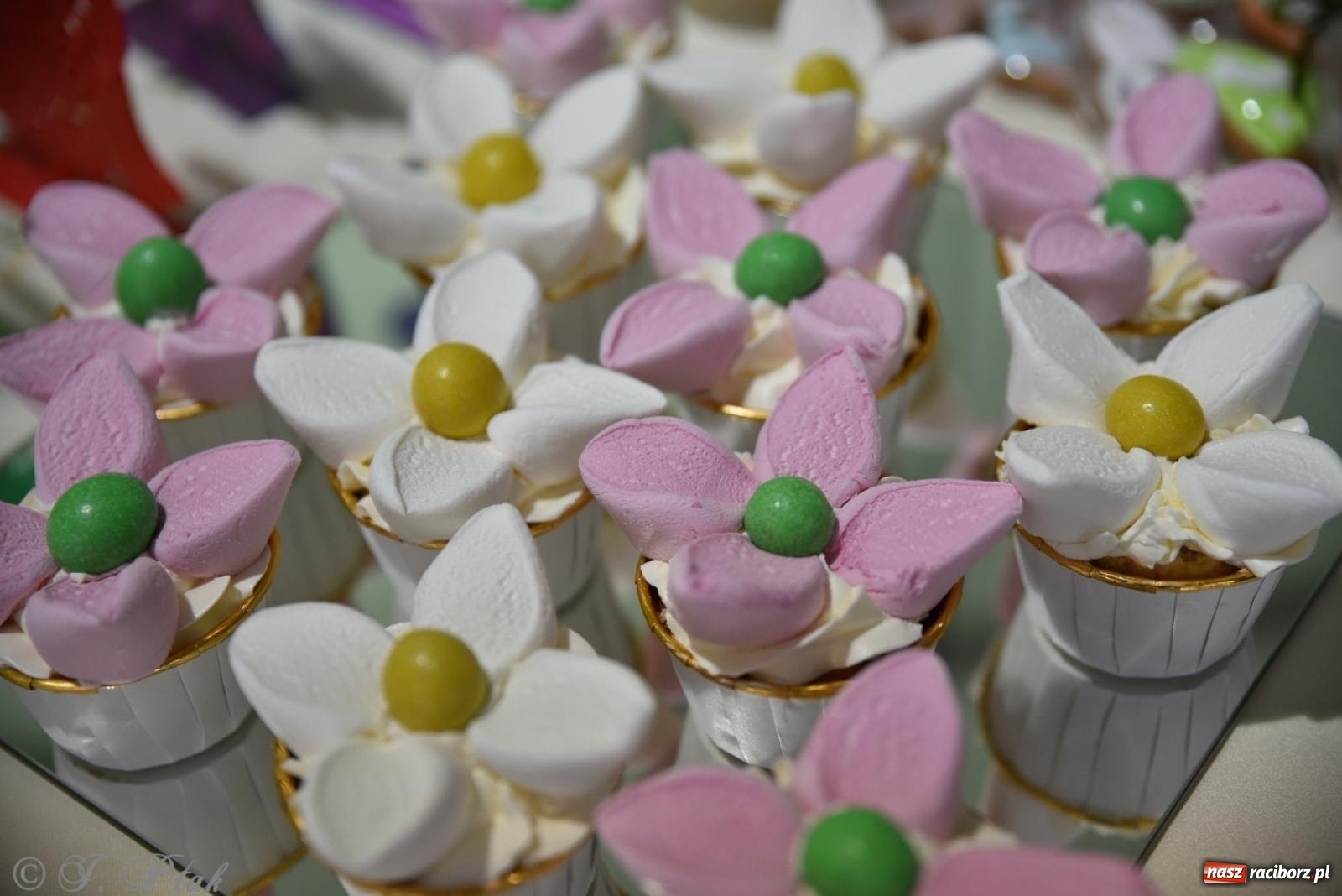 Zdjęcie w galerii na portalu naszraciborz.pl: Festiwal smaków i tradycji – potrawy regionalne wróciły do Pietrowic Wielkich [FOTO i WIDEO] wiadomości z regionu