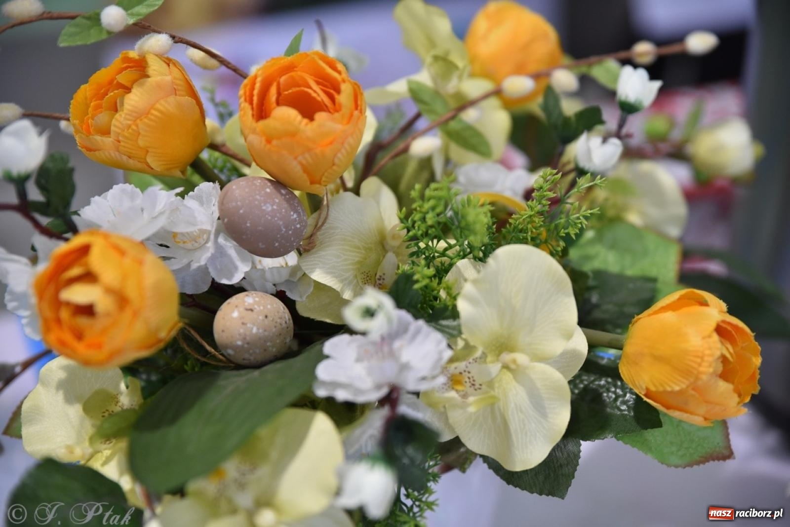 Zdjęcie w galerii na portalu naszraciborz.pl: Festiwal smaków i tradycji – potrawy regionalne wróciły do Pietrowic Wielkich [FOTO i WIDEO] wiadomości z regionu