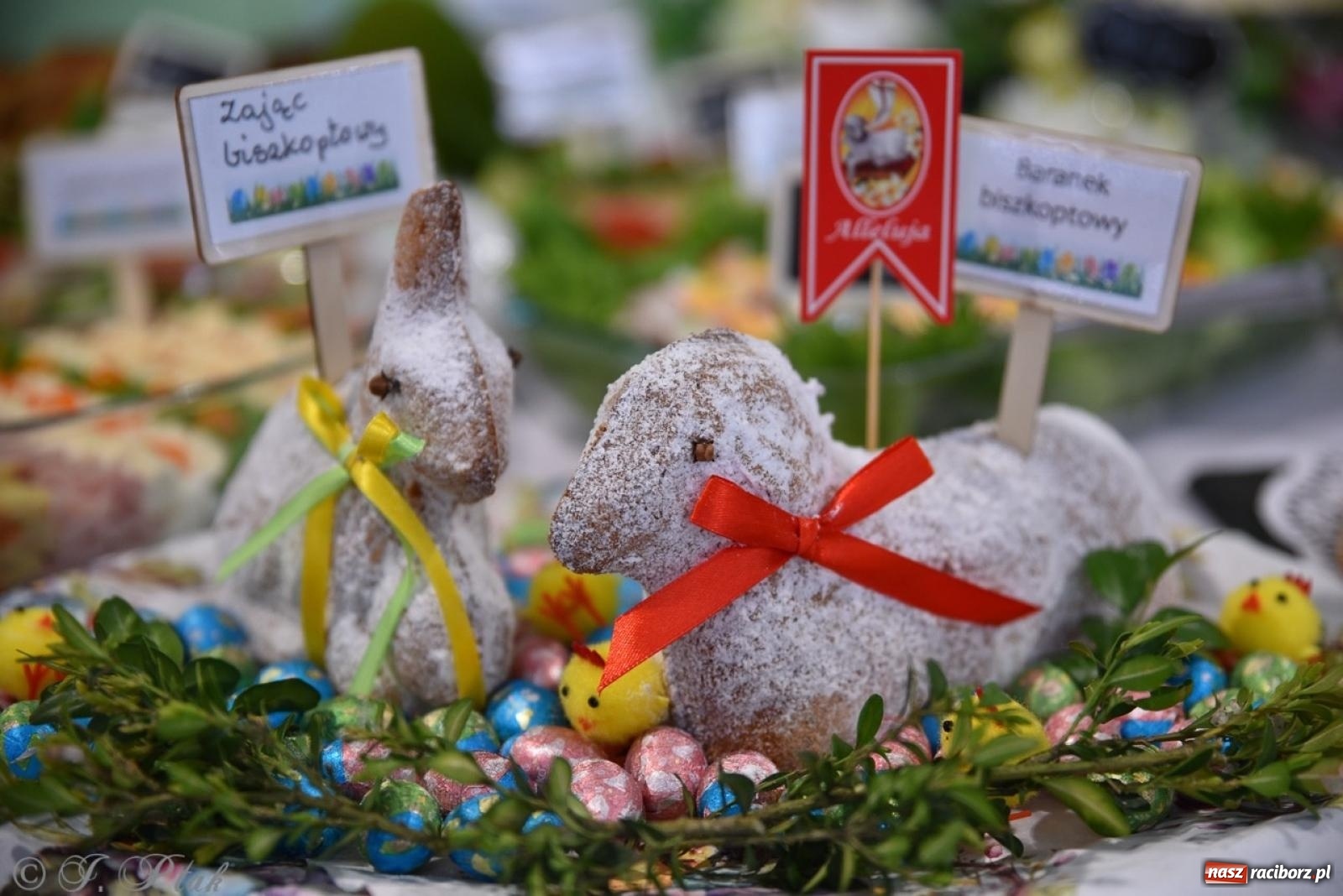 Zdjęcie w galerii na portalu naszraciborz.pl: Festiwal smaków i tradycji – potrawy regionalne wróciły do Pietrowic Wielkich [FOTO i WIDEO] wiadomości z regionu