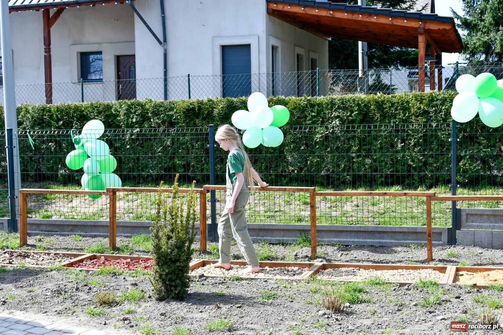 Zdjęcie w galerii na portalu naszraciborz.pl: Zielone wędrówki pod chmurką – nowa ekopracownia w Studziennej [FOTO i WIDEO] wiadomości z regionu