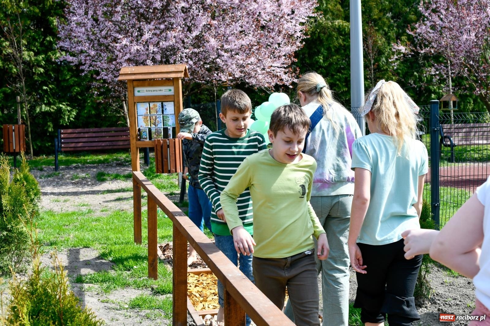 Zdjęcie w galerii na portalu naszraciborz.pl: Zielone wędrówki pod chmurką – nowa ekopracownia w Studziennej [FOTO i WIDEO] wiadomości z regionu