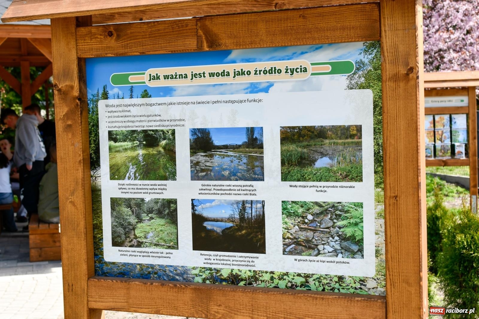 Zdjęcie w galerii na portalu naszraciborz.pl: Zielone wędrówki pod chmurką – nowa ekopracownia w Studziennej [FOTO i WIDEO] wiadomości z regionu