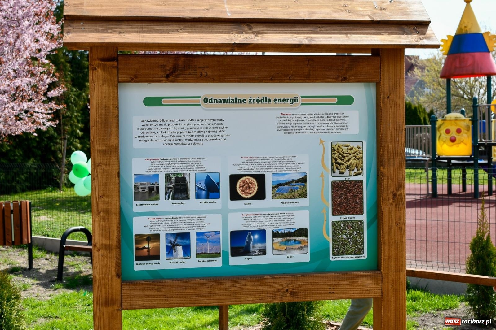 Zdjęcie w galerii na portalu naszraciborz.pl: Zielone wędrówki pod chmurką – nowa ekopracownia w Studziennej [FOTO i WIDEO] wiadomości z regionu