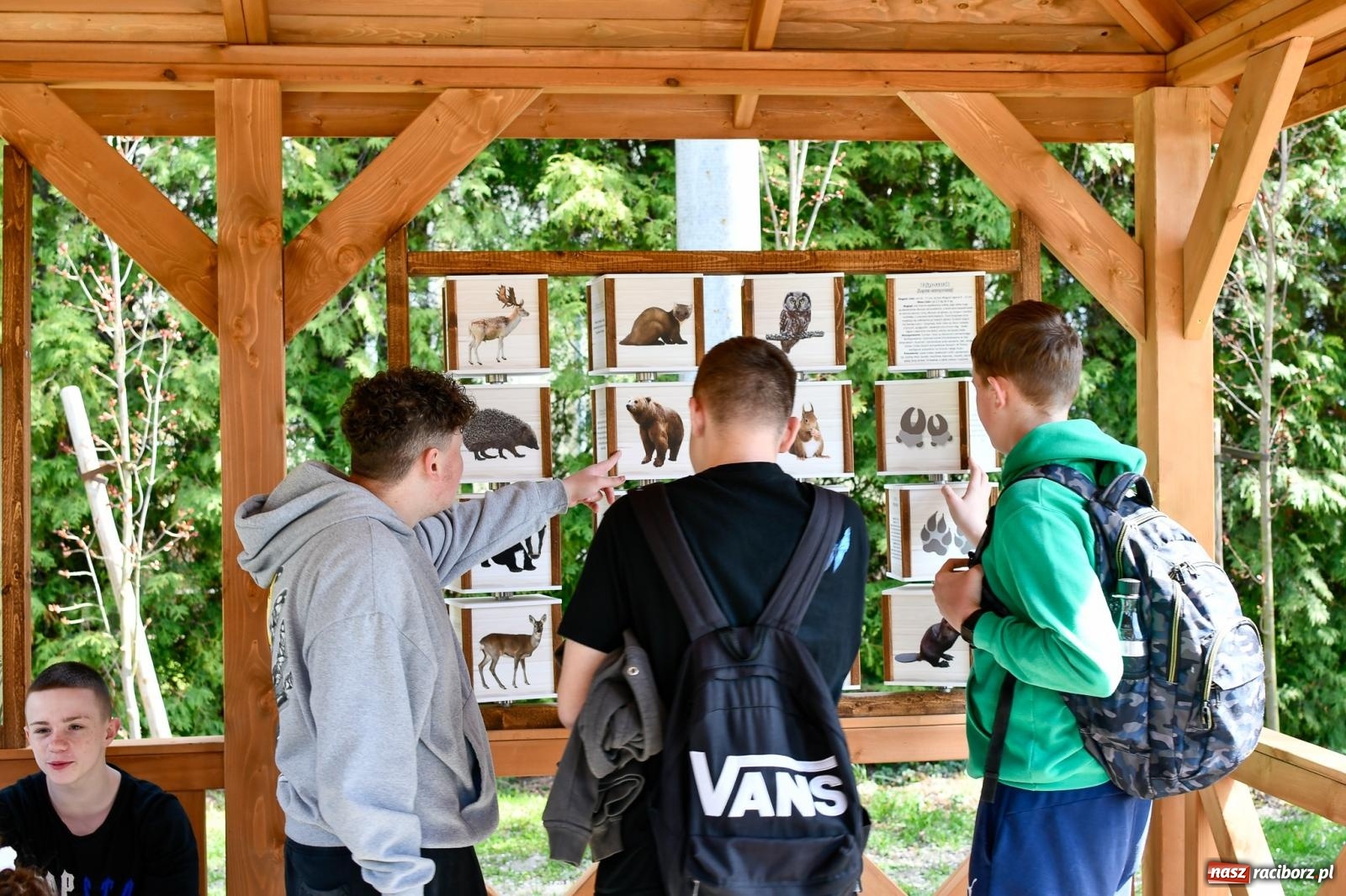 Zdjęcie w galerii na portalu naszraciborz.pl: Zielone wędrówki pod chmurką – nowa ekopracownia w Studziennej [FOTO i WIDEO] wiadomości z regionu