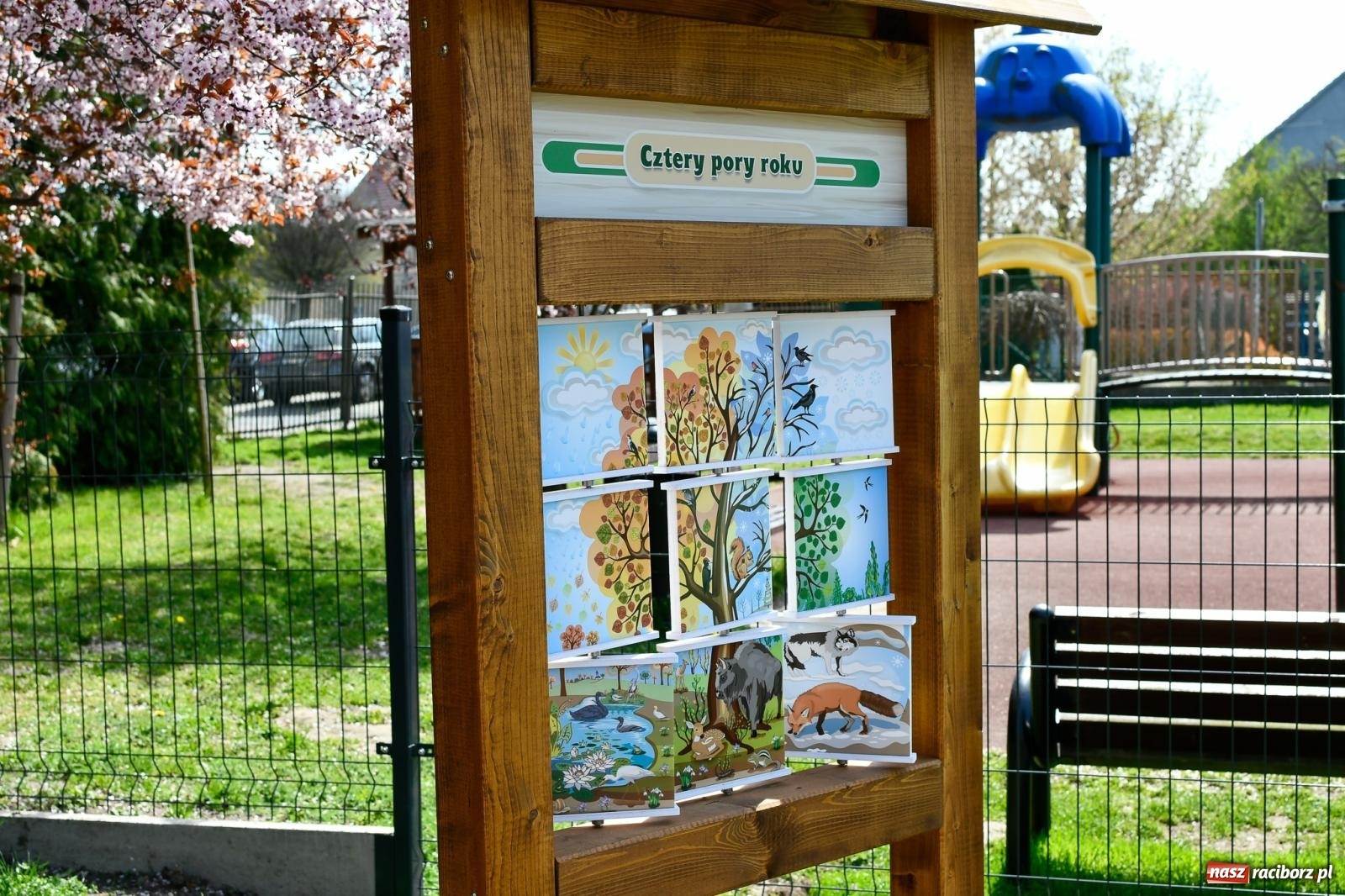 Zdjęcie w galerii na portalu naszraciborz.pl: Zielone wędrówki pod chmurką – nowa ekopracownia w Studziennej [FOTO i WIDEO] wiadomości z regionu