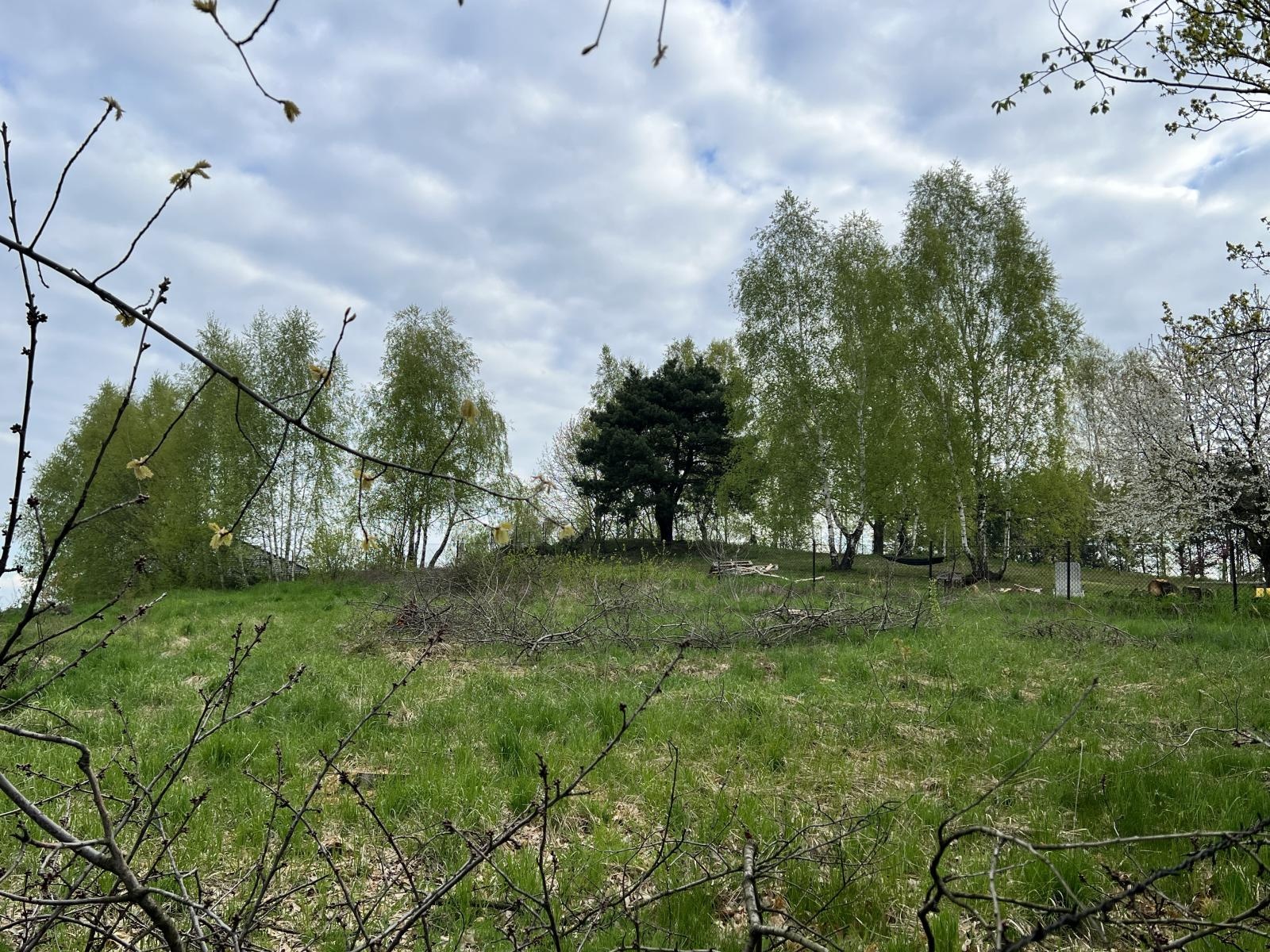 Zdjęcie w galerii na portalu naszraciborz.pl: Mieszkańcy Brzezia chcą, by Sosienka pozostała miejska. Ratusz chciał jej sprzedaży wiadomości z regionu