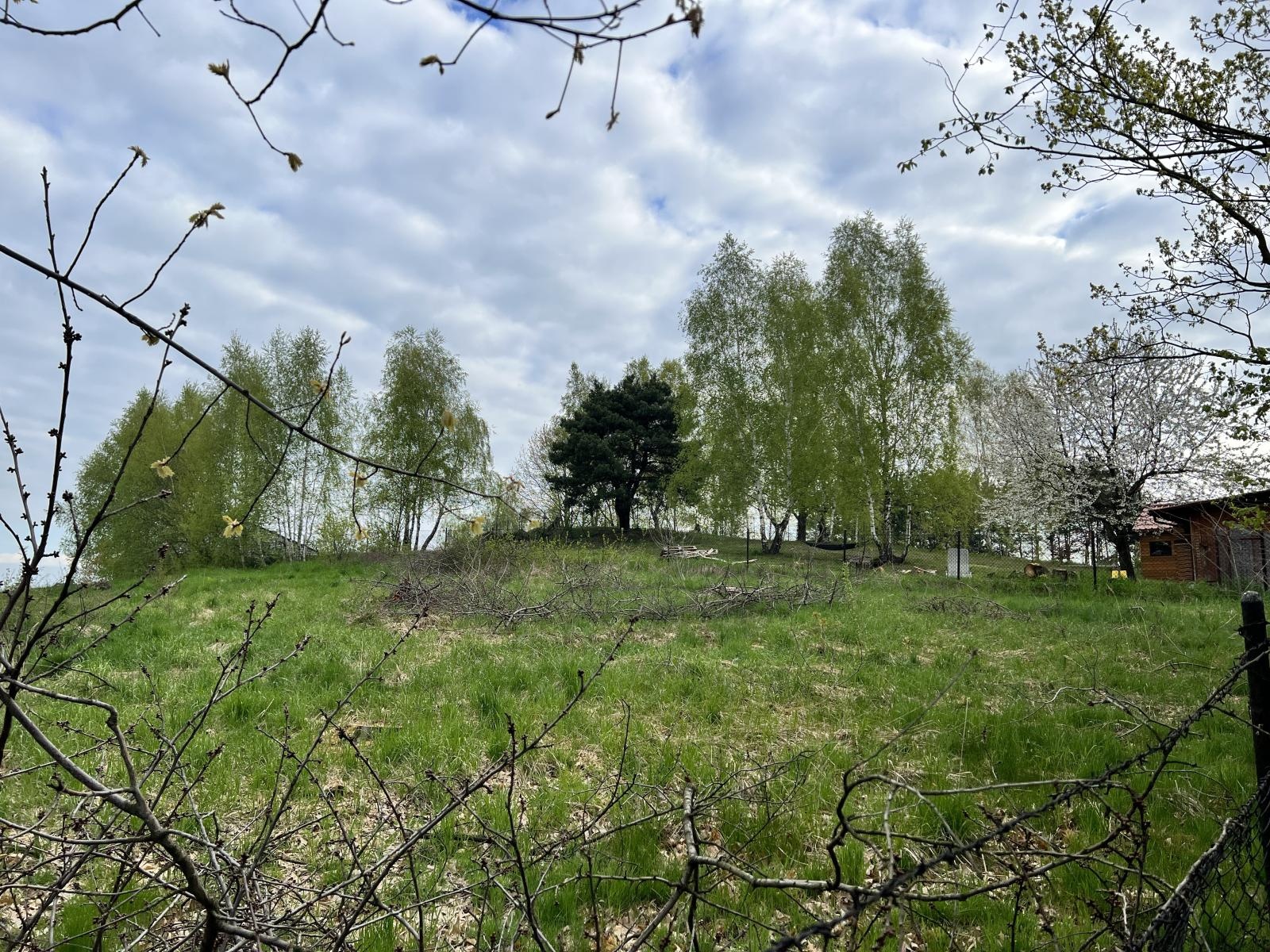 Zdjęcie w galerii na portalu naszraciborz.pl: Mieszkańcy Brzezia chcą, by Sosienka pozostała miejska. Ratusz chciał jej sprzedaży wiadomości z regionu