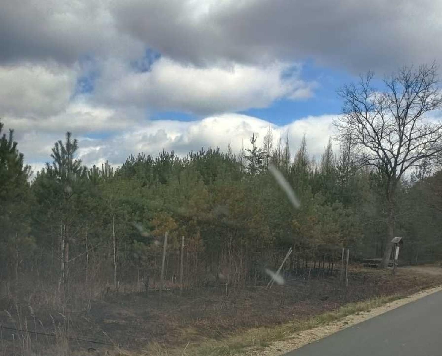 Zdjęcie w galerii na portalu naszraciborz.pl: Podpalacz z Kuźni Raciborskiej w rękach policji  wiadomości z regionu