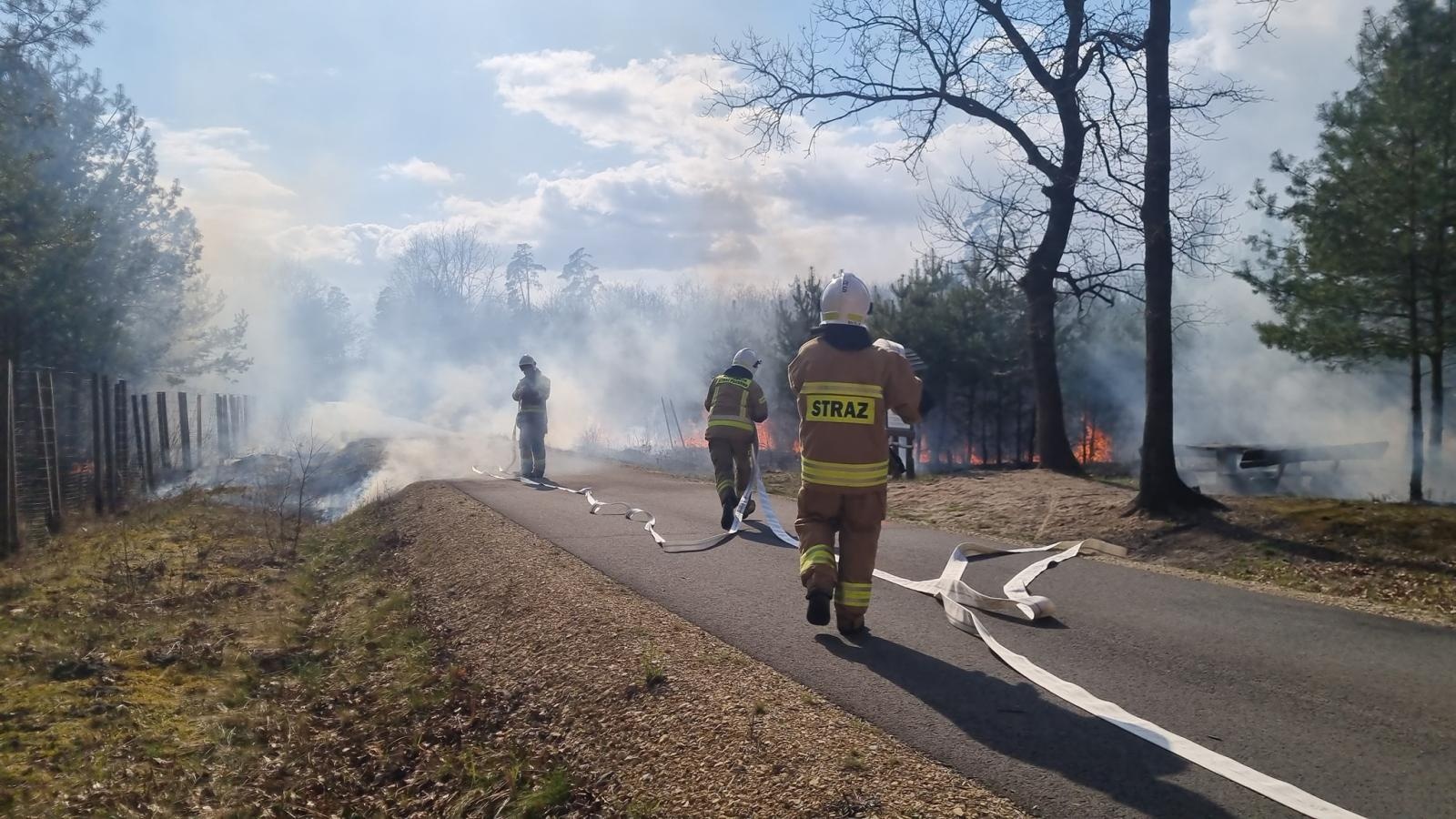 Zdjęcie w galerii na portalu naszraciborz.pl: Podpalacz z Kuźni Raciborskiej w rękach policji  wiadomości z regionu
