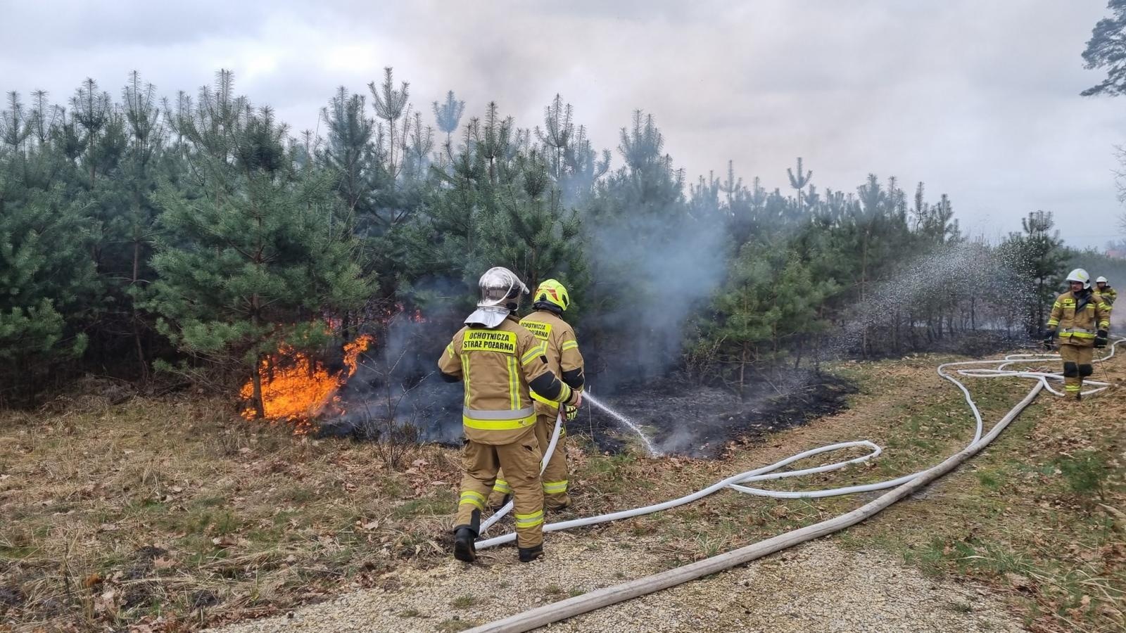 Zdjęcie w galerii na portalu naszraciborz.pl: Podpalacz z Kuźni Raciborskiej w rękach policji  wiadomości z regionu