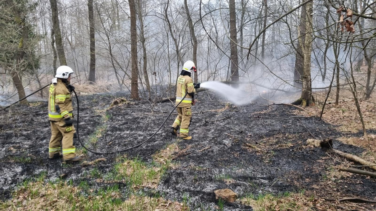 Zdjęcie w galerii na portalu naszraciborz.pl: Podpalacz z Kuźni Raciborskiej w rękach policji  wiadomości z regionu