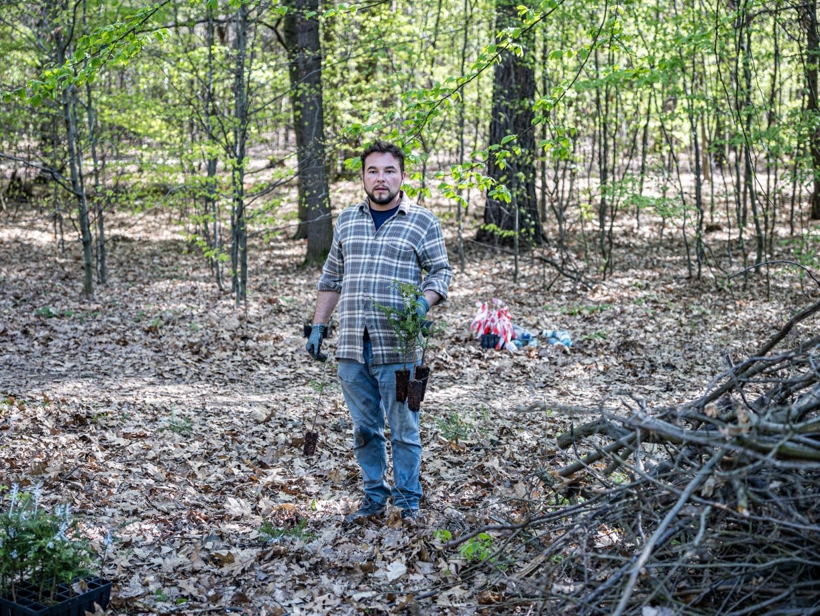 Zdjęcie w galerii na portalu naszraciborz.pl: 1350 nowych sadzonek w lesie Obora dzięki firmie Posadzimy.pl wiadomości z regionu