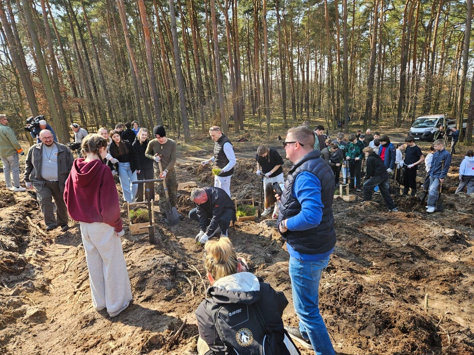 Zdjęcie w galerii na portalu naszraciborz.pl: Lasy na nowe 100-lecie – leśnicy sadzą pół miliarda drzew rocznie wiadomości z regionu