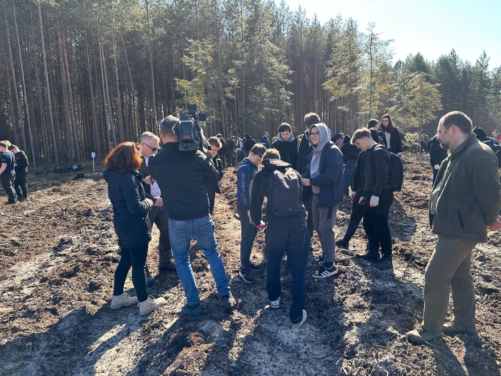 Zdjęcie w galerii na portalu naszraciborz.pl: Lasy na nowe 100-lecie – leśnicy sadzą pół miliarda drzew rocznie wiadomości z regionu