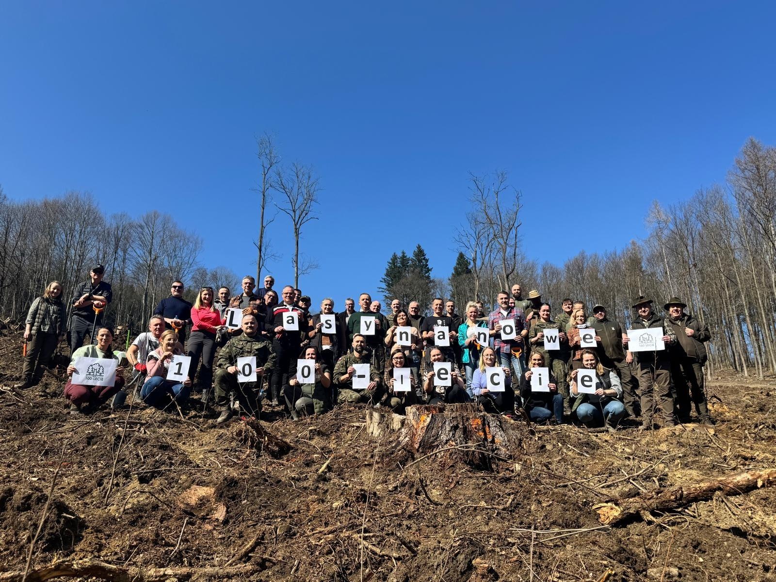 Zdjęcie w galerii na portalu naszraciborz.pl: Lasy na nowe 100-lecie – leśnicy sadzą pół miliarda drzew rocznie wiadomości z regionu