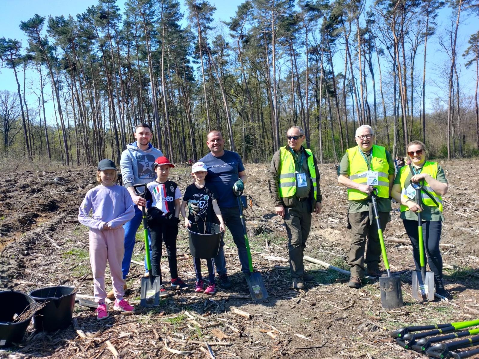 Zdjęcie w galerii na portalu naszraciborz.pl: Lasy na nowe 100-lecie – leśnicy sadzą pół miliarda drzew rocznie wiadomości z regionu