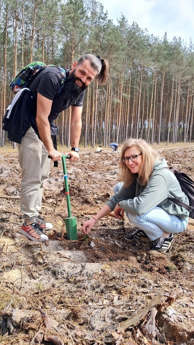 Zdjęcie w galerii na portalu naszraciborz.pl: Lasy na nowe 100-lecie – leśnicy sadzą pół miliarda drzew rocznie wiadomości z regionu