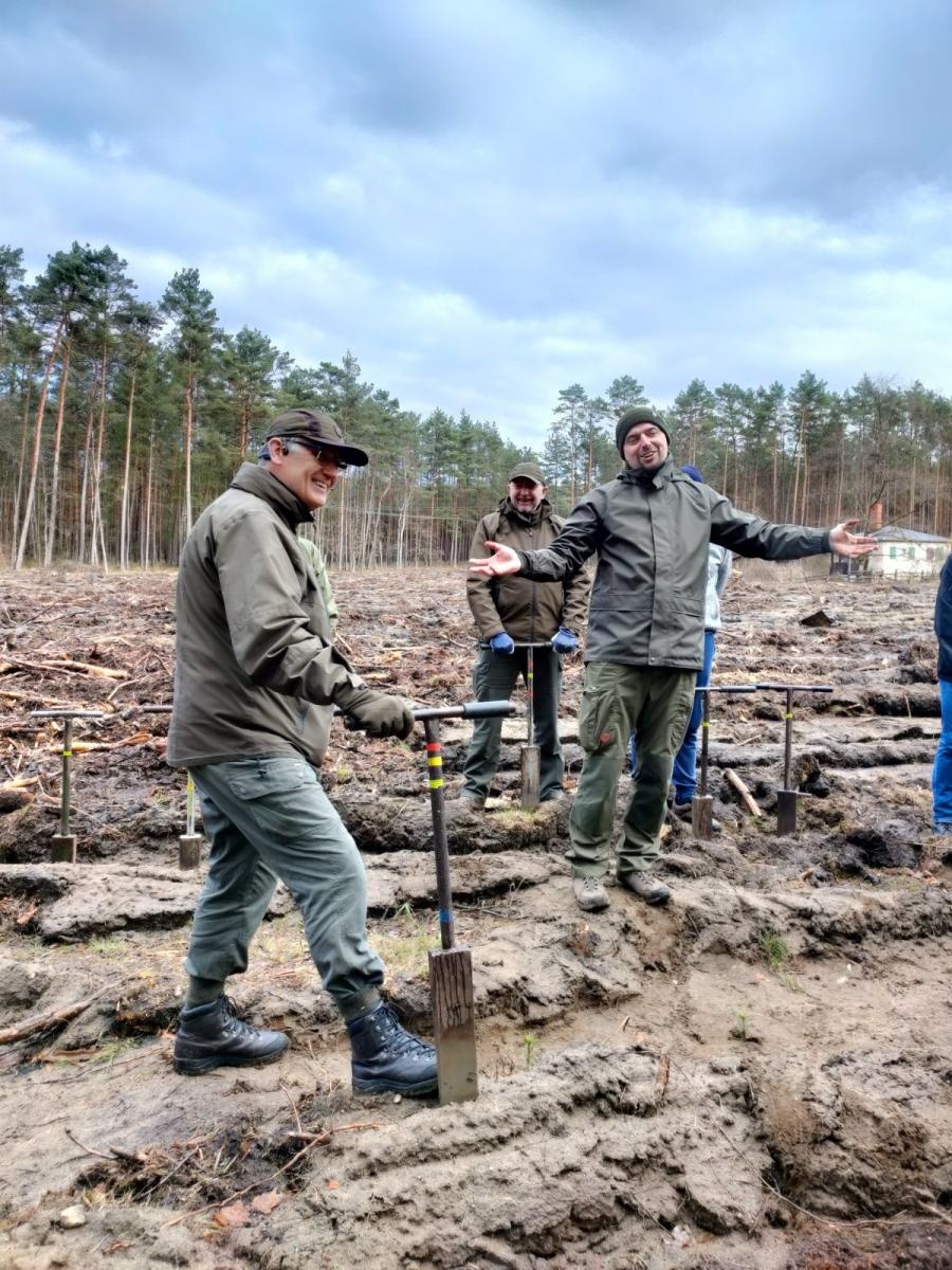 Zdjęcie w galerii na portalu naszraciborz.pl: Lasy na nowe 100-lecie – leśnicy sadzą pół miliarda drzew rocznie wiadomości z regionu
