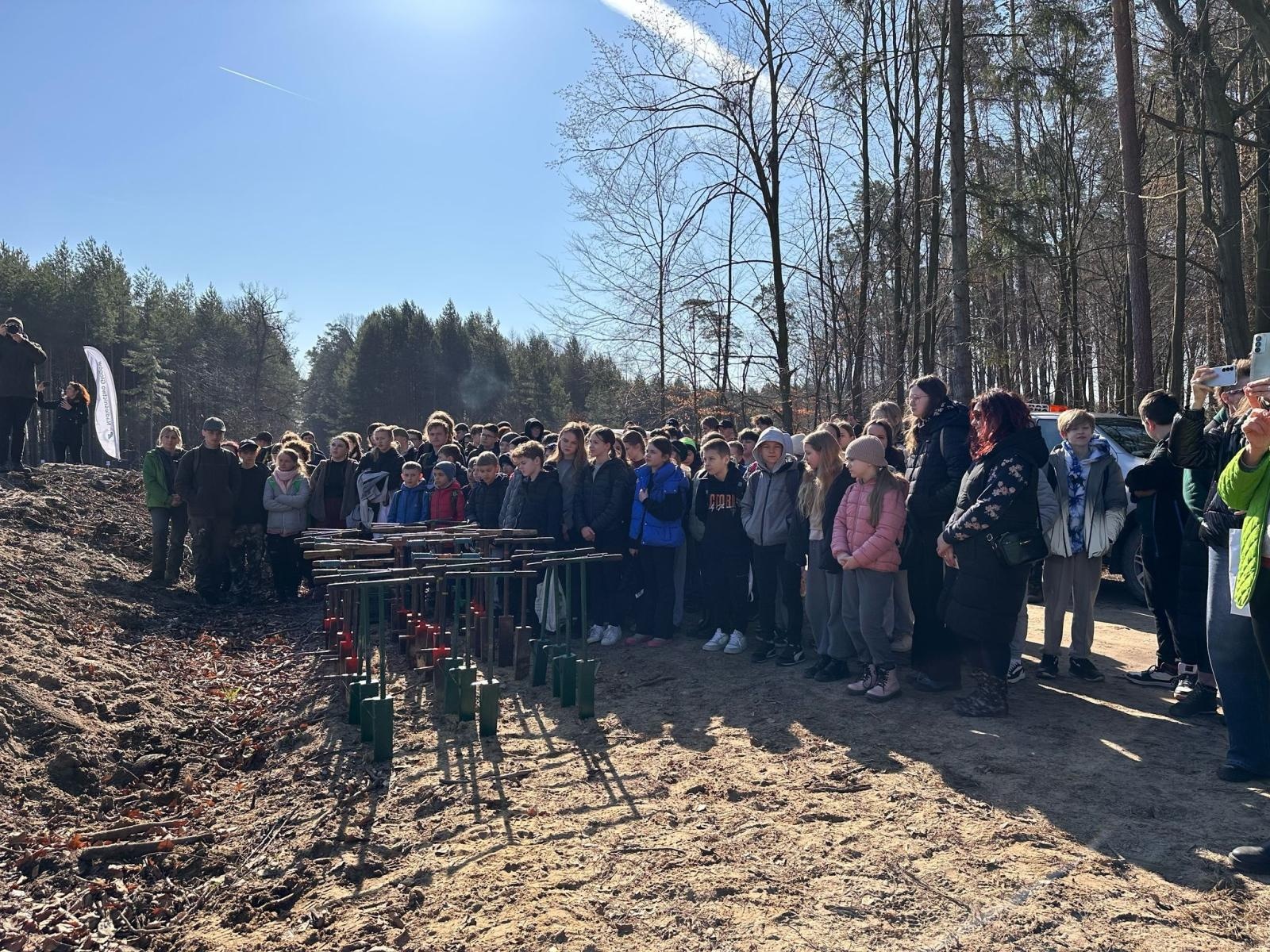Zdjęcie w galerii na portalu naszraciborz.pl: Lasy na nowe 100-lecie – leśnicy sadzą pół miliarda drzew rocznie wiadomości z regionu