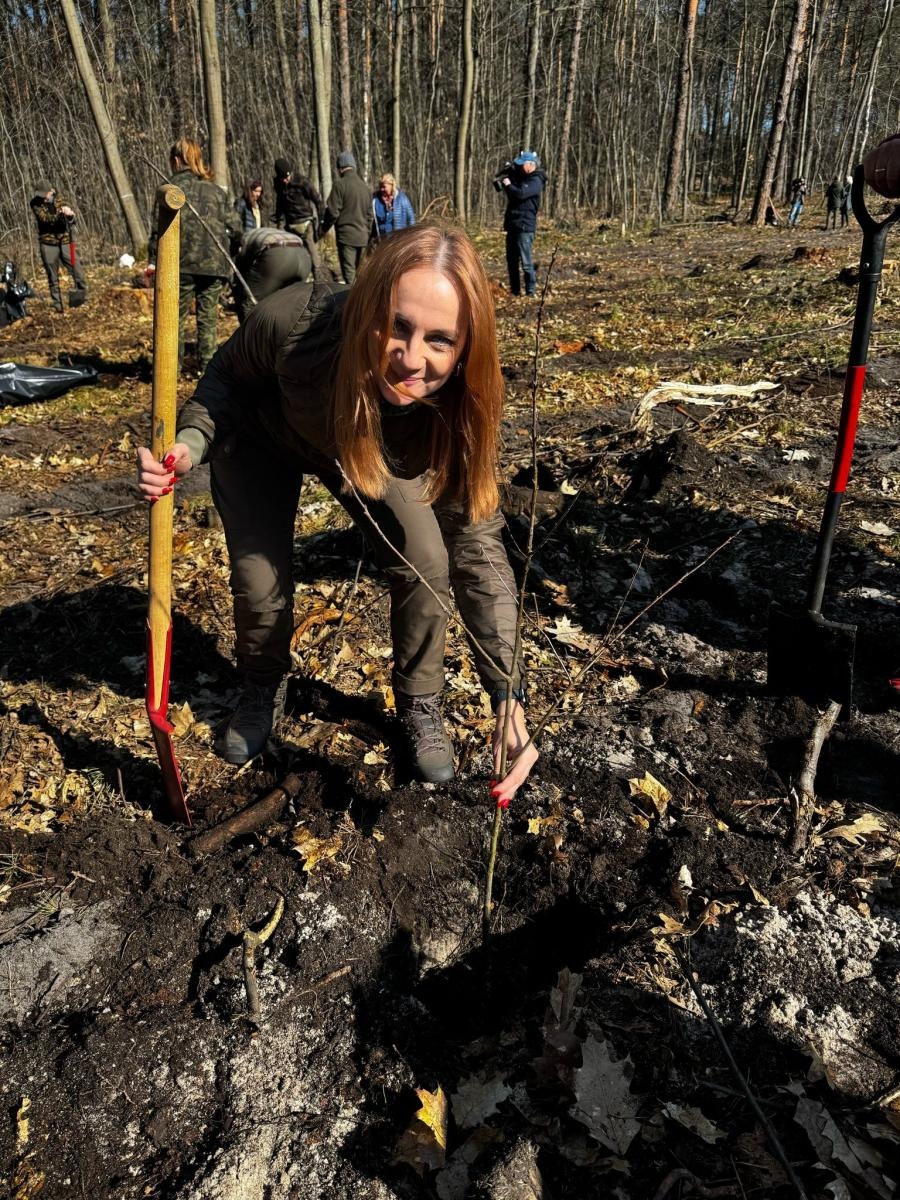 Zdjęcie w galerii na portalu naszraciborz.pl: Lasy na nowe 100-lecie – leśnicy sadzą pół miliarda drzew rocznie wiadomości z regionu