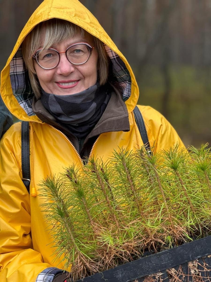 Zdjęcie w galerii na portalu naszraciborz.pl: Lasy na nowe 100-lecie – leśnicy sadzą pół miliarda drzew rocznie wiadomości z regionu