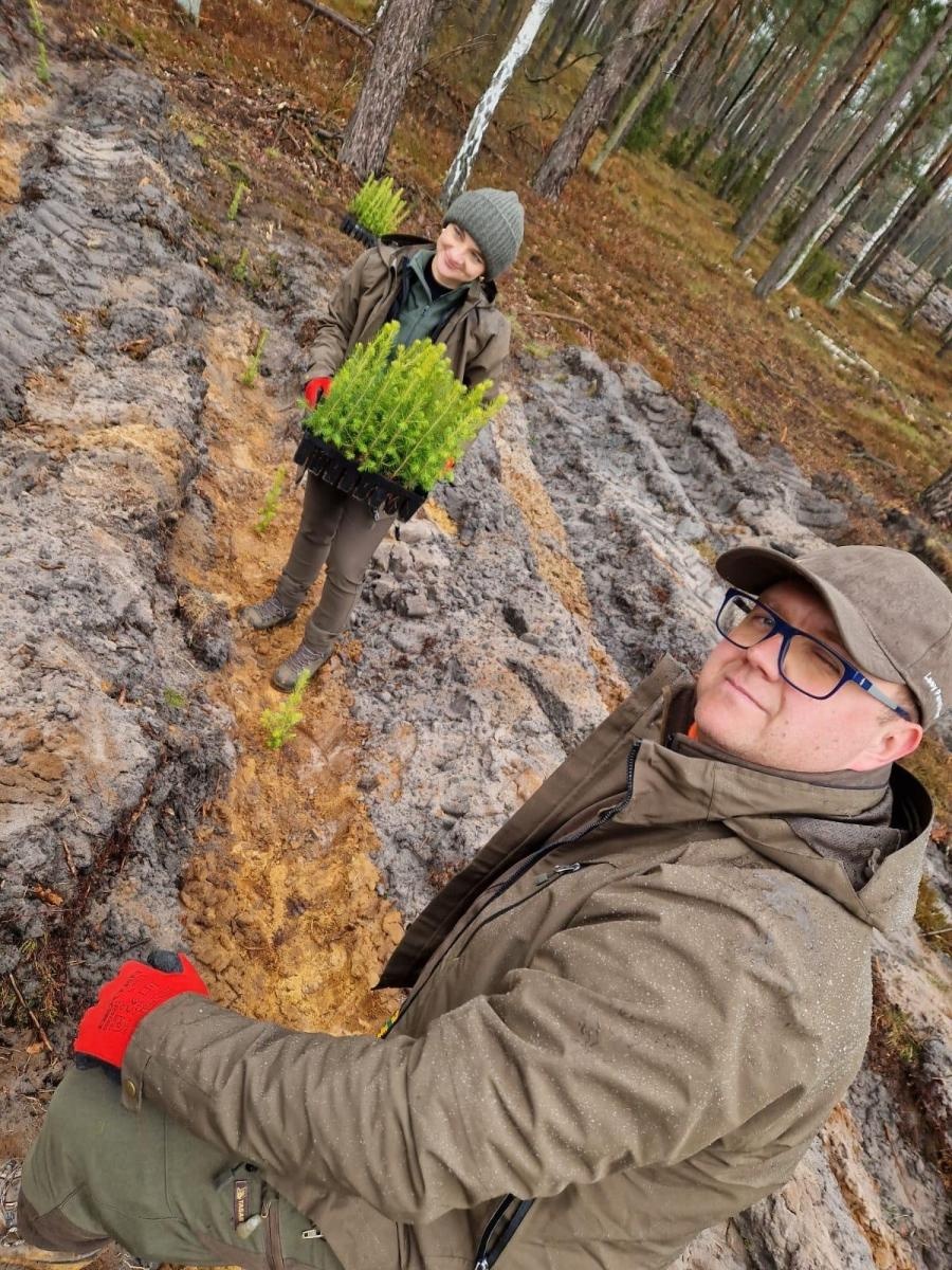 Zdjęcie w galerii na portalu naszraciborz.pl: Lasy na nowe 100-lecie – leśnicy sadzą pół miliarda drzew rocznie wiadomości z regionu
