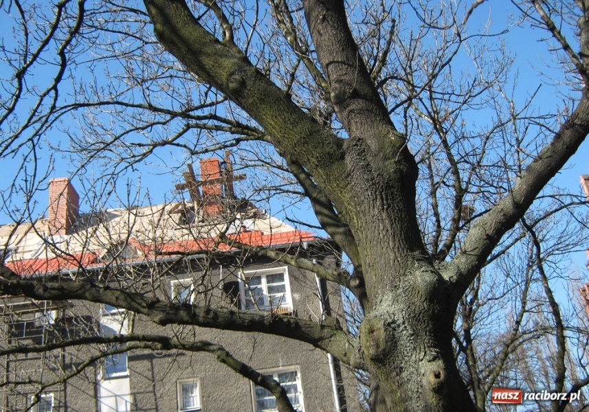 Zdjęcie w galerii na portalu naszraciborz.pl: To cud, że nikt nie spadł wiadomości z regionu