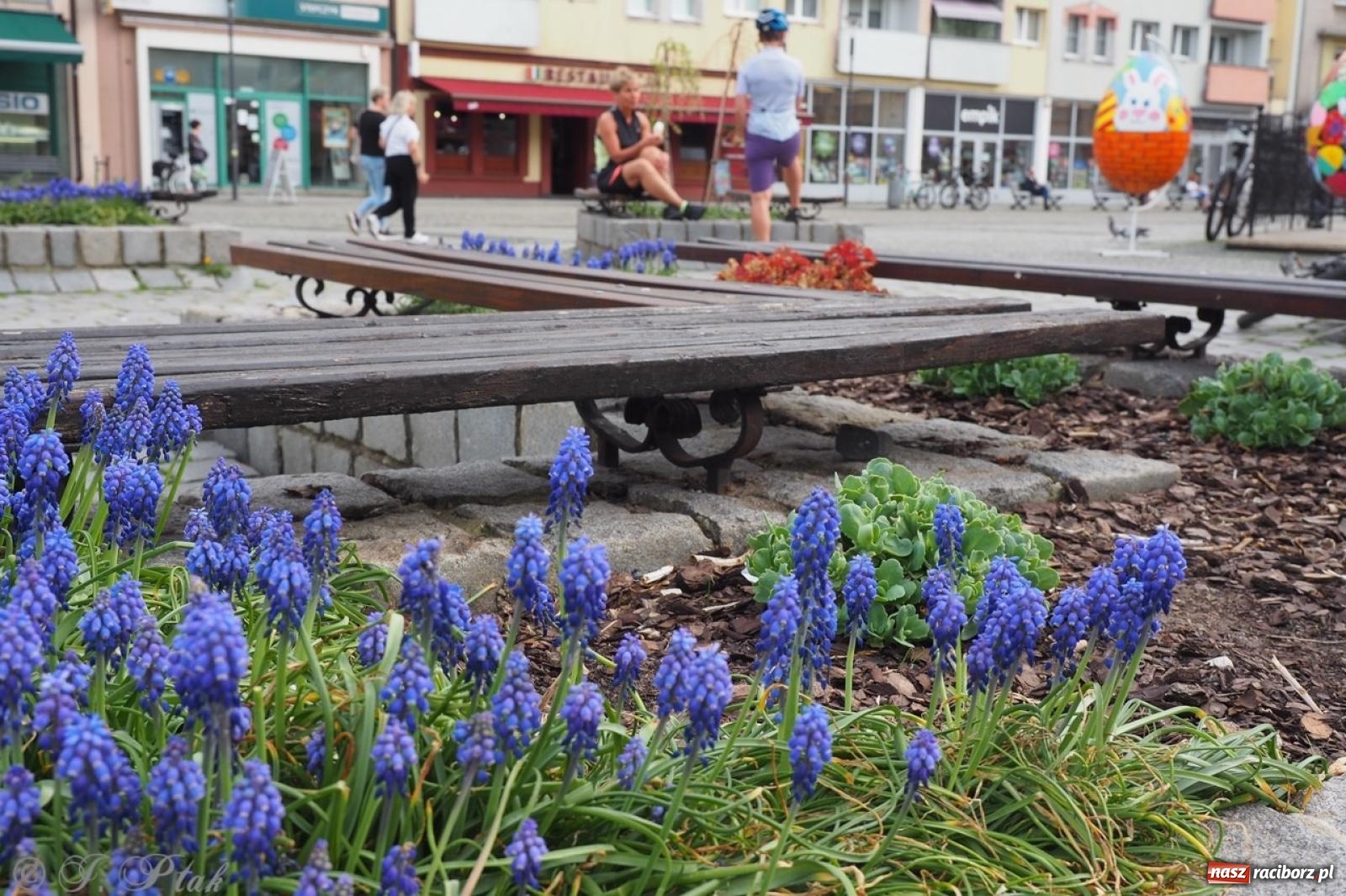 Zdjęcie w galerii na portalu naszraciborz.pl: Racibórz u progu Wielkanocy – pisanki, żur i jarmark staroci wiadomości z regionu