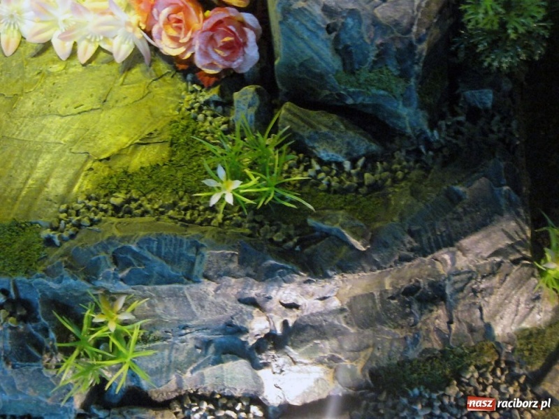 Zdjęcie w galerii na portalu naszraciborz.pl: Prywatny Boży Grób Grzegorza Mejłuna wiadomości z regionu