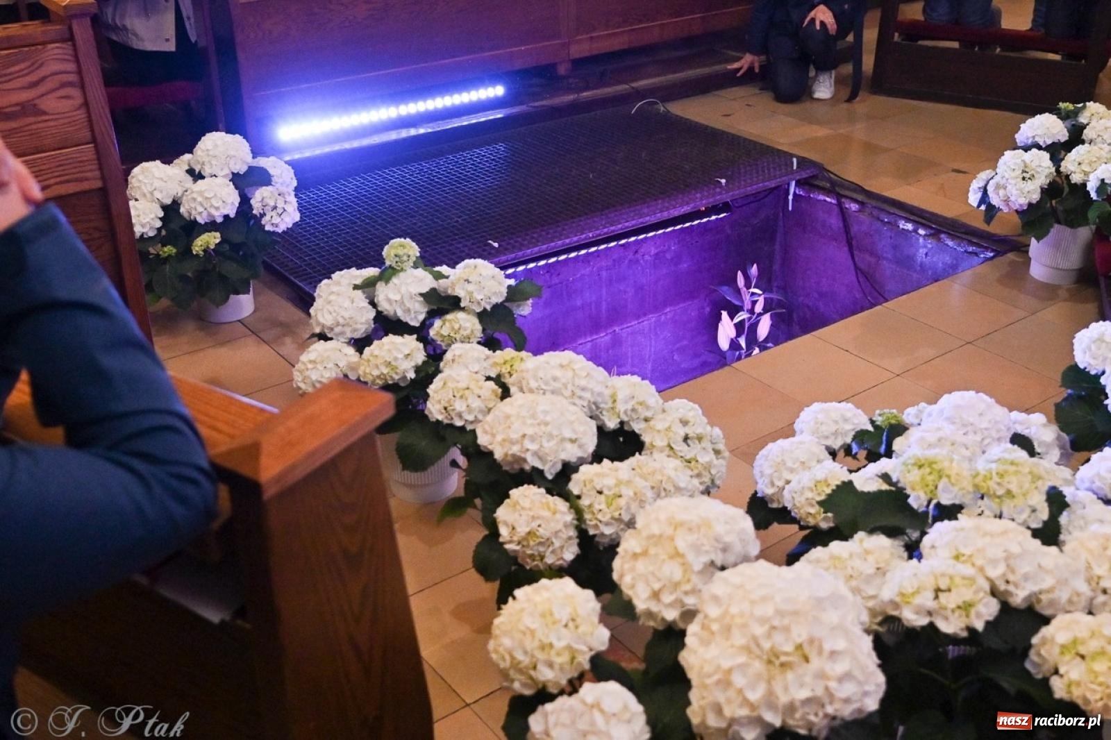 Zdjęcie w galerii na portalu naszraciborz.pl: Zaskakująca aranżacja Grobu Pańskiego w kościele NSPJ w Raciborzu [FOTO] wiadomości z regionu