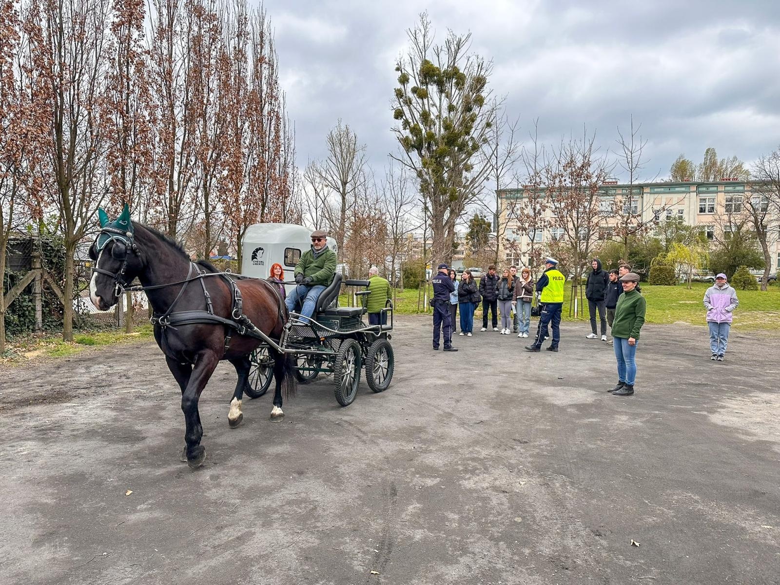 Zdjęcie w galerii na portalu naszraciborz.pl: Seminarium o obecności koni w przestrzeni publicznej: bezpieczeństwo, służby mundurowe i jeździectwo wiadomości z regionu