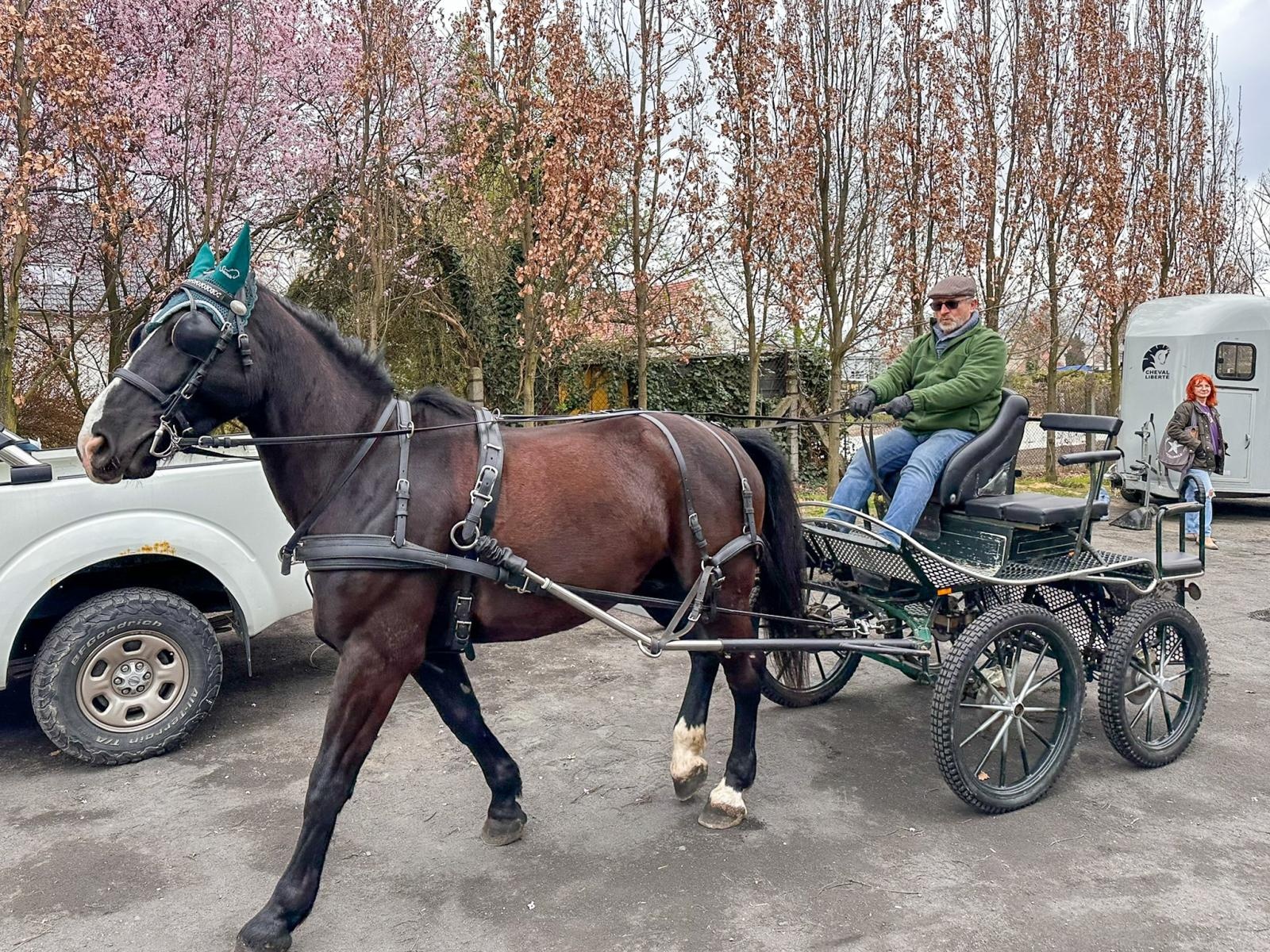 Zdjęcie w galerii na portalu naszraciborz.pl: Seminarium o obecności koni w przestrzeni publicznej: bezpieczeństwo, służby mundurowe i jeździectwo wiadomości z regionu